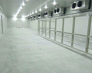 500噸豬肉品冷庫建造多少錢？