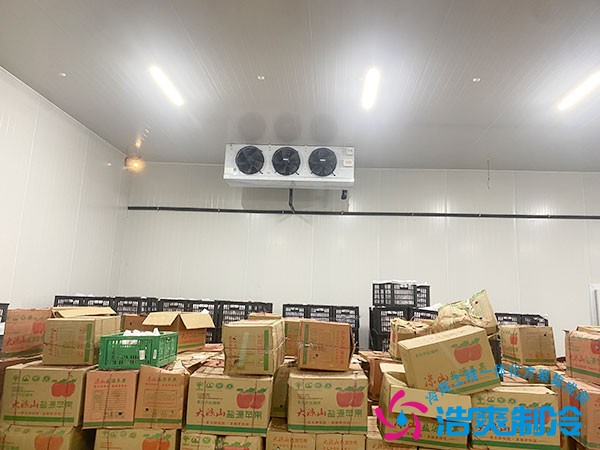 建一個水果冷庫需要多少錢？