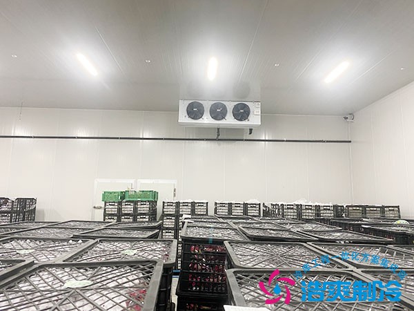 不同規格水果保鮮冷庫建造