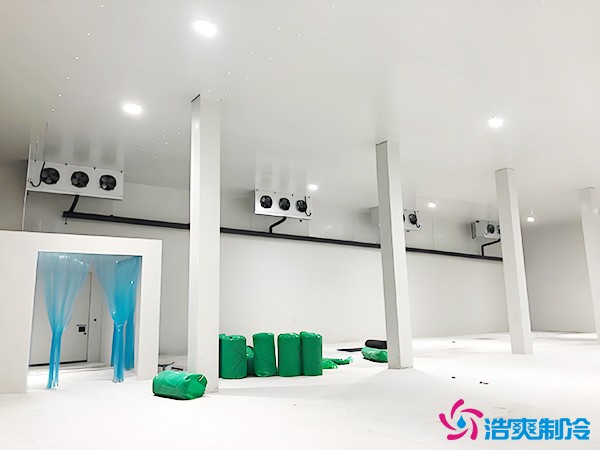 建造萬噸級大型冷庫造價大概多少錢？萬噸冷庫造價影響因素