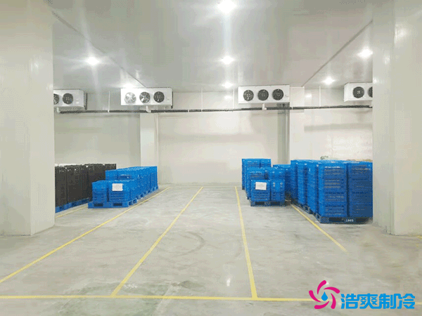 建造萬噸級大型冷庫造價大概多少錢？萬噸冷庫造價影響因素