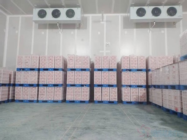 生果保鮮冷庫建造價(jià)格多少錢？生果保鮮冷庫造價(jià)表