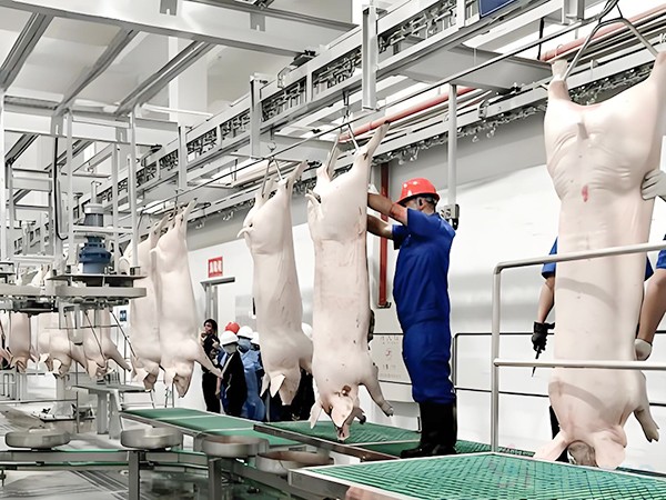 畜禽屠宰冷庫和肉類低溫冷庫的造價區別