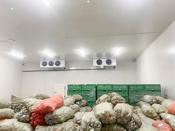 影響蔬菜保鮮冷庫建造價(jià)格的因素有哪些？