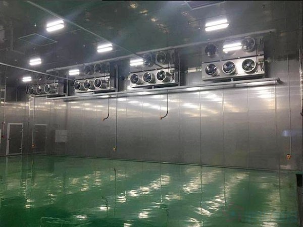 建造一個存儲半導體材料的恒溫防爆冷庫造價多少錢