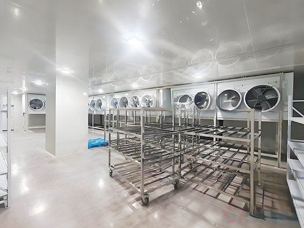 屠宰場冷庫一般都在車間內嗎？速凍間是冷庫嗎？