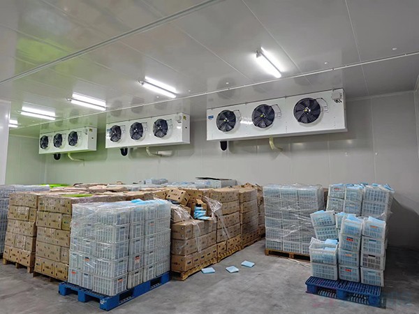 大型工業藥品冷庫建設安裝價格大概多少錢？