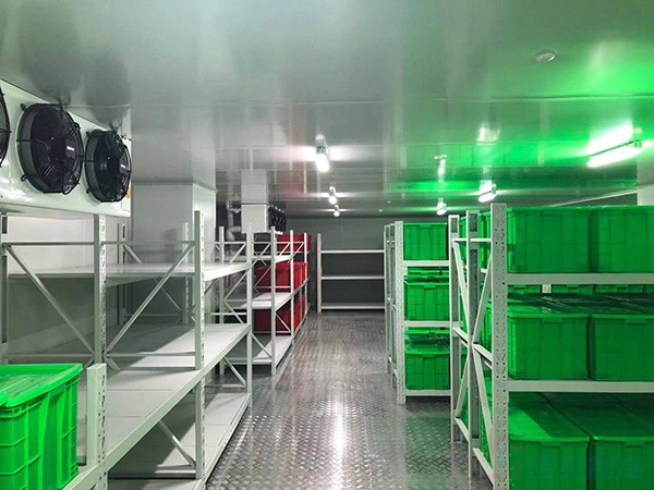 上海藥品冷鏈物流冷庫(kù)建造