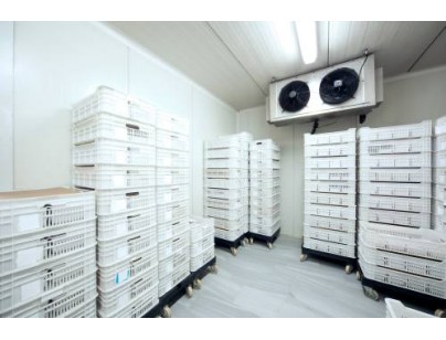 浙江仙居股份經濟合作社羊肚菌氣調保鮮冷庫建造工程案