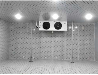 浙江仙居股份經濟合作社羊肚菌氣調保鮮冷庫建造工程案