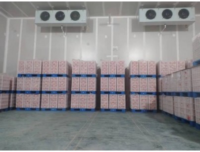 湖州練美農業果蔬產地型氣調冷庫建造工程案例