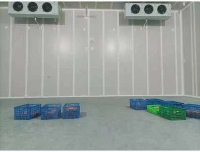 湖州練美農業果蔬產地型氣調冷庫建造工程案例