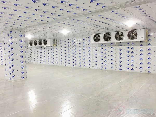 臘肉冷庫(kù)建造