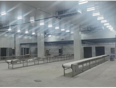 廣西大化起點農牧2000m3畜禽肉類屠宰加工冷鏈中心建造冷庫工程案例