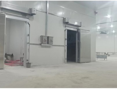 廣西大化起點農牧2000m3畜禽肉類屠宰加工冷鏈中心建造冷庫工程案例