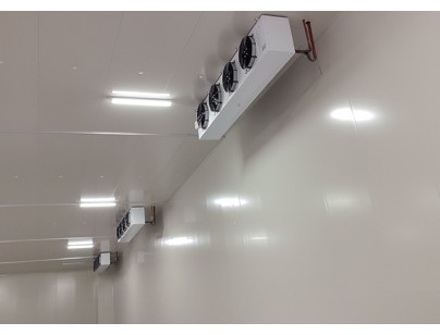 安徽翔威供應鏈14500m3保稅區冷鏈物流冷庫工程建造案例