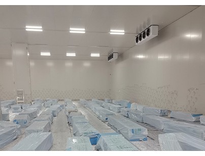 安徽翔威供應鏈14500m3保稅區冷鏈物流冷庫工程建造案例