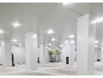 深圳望家歡智慧產業園一期大型食品冷庫建造工程案例