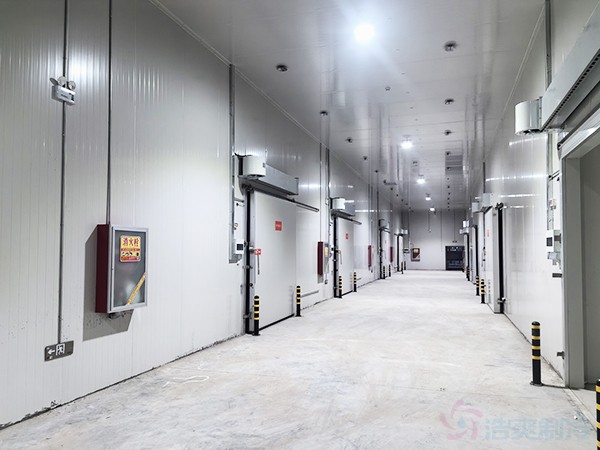 20000平冷庫建設