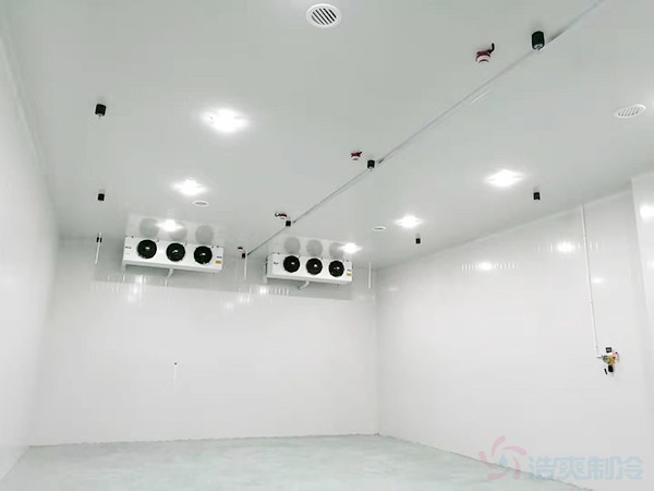 冷鏈工程設計