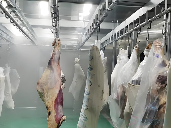 屠宰廠冷庫建造